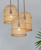 KBL41
