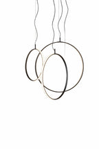 Circus Ring