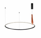 The Hanger-Ring