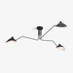 Tri-Arm light
