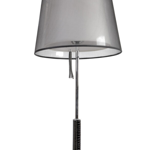 Double Layer Floor Lamp